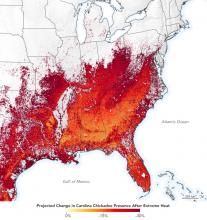 Projected change in Carolina Chickadee presence after extreme heat.