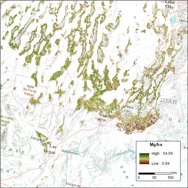 Map of live aboveground tree biomass for a portion of the Great Basin, USA.