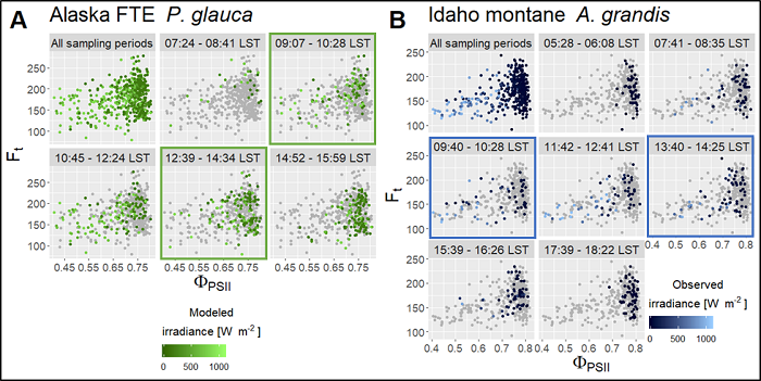 Relationship between the quantum yields of fluorescence and photosystem II.