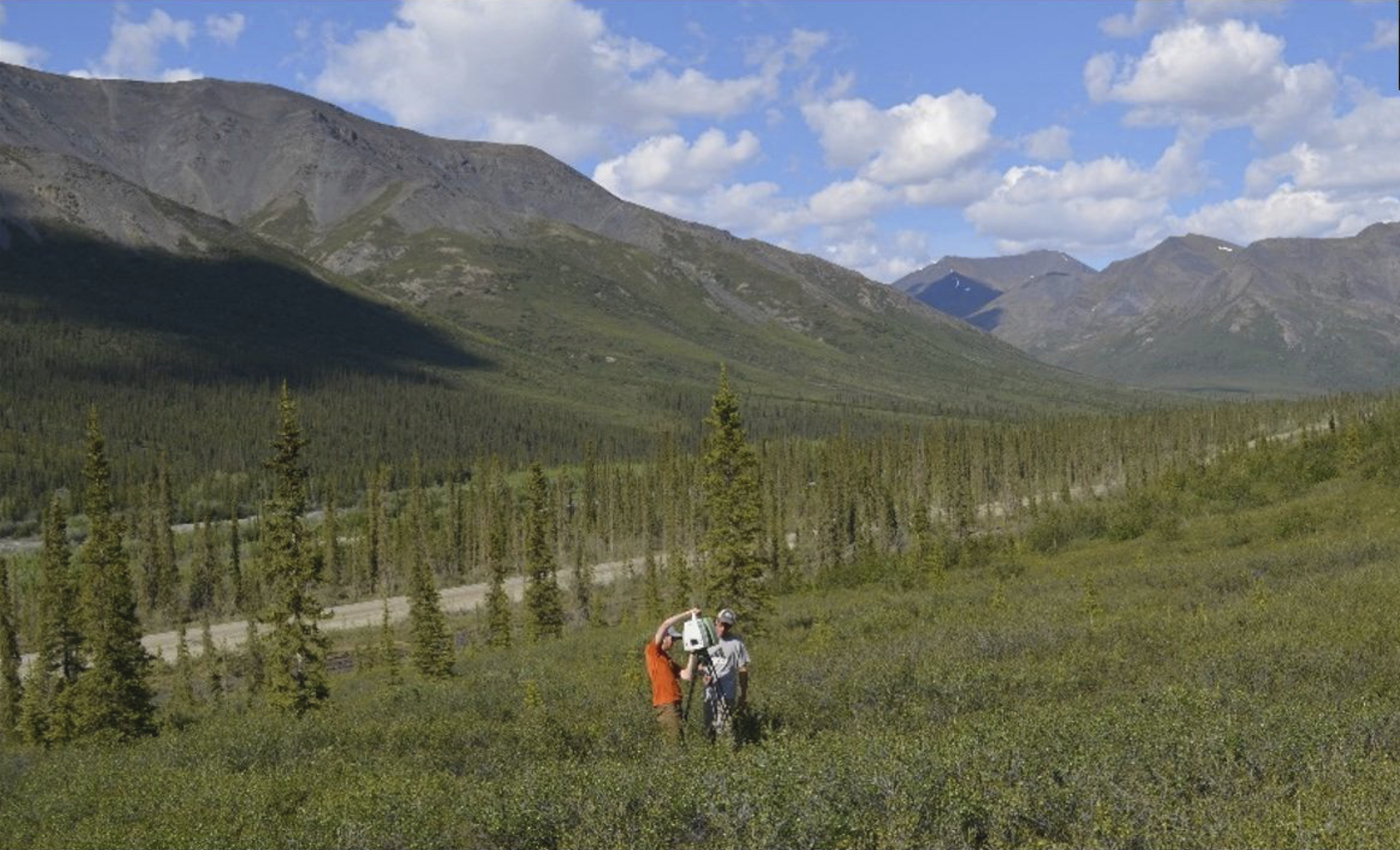Study plot at the forest-tundra ecotone.
