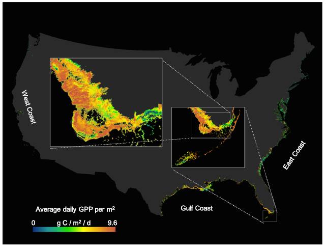 Average daily gross primary production.