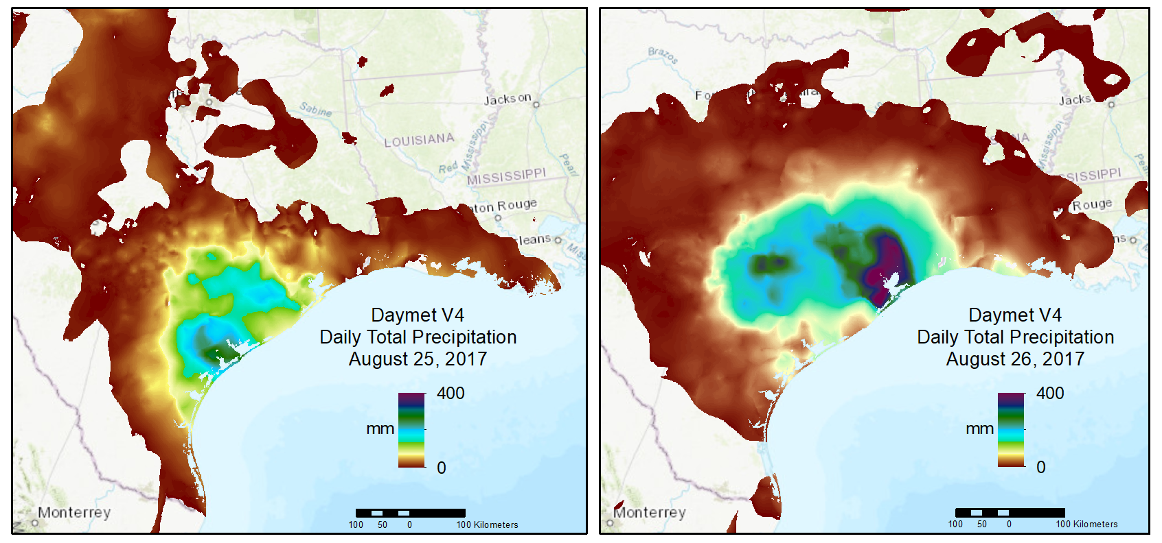 Daymet V4 Daily Precipitation 