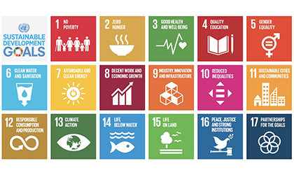 17 Sustainable Development Goals