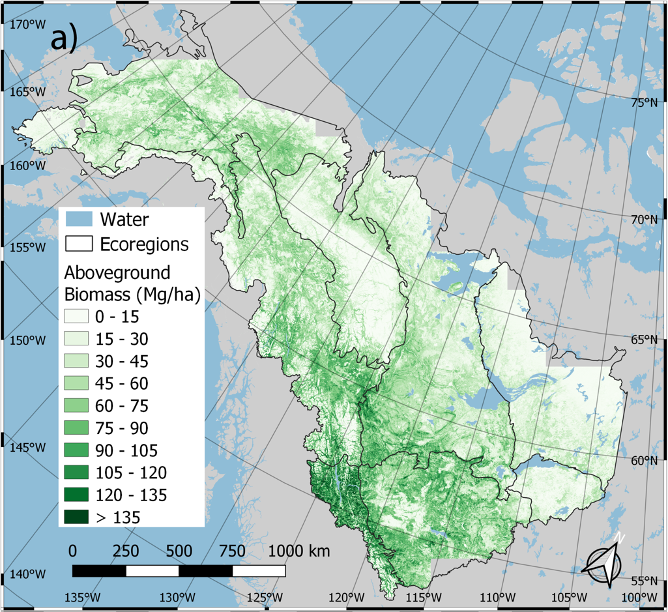 Spatial distribution of predicted aboveground biomass density averaged over 1984-2014 for the ABoVE Core Study Domain.