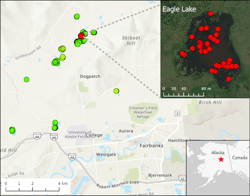Location of 15 lakes surveyed for methane ebullition hotspots (green points) north of Fairbanks, AK, on October 8, 2014.