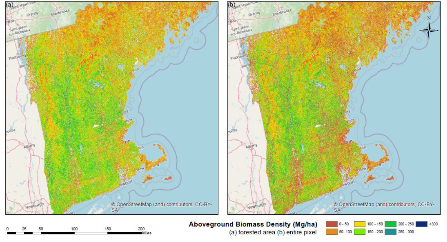 30 m resolution maps of aboveground biomass density (AGBD) over the New England region in 2015