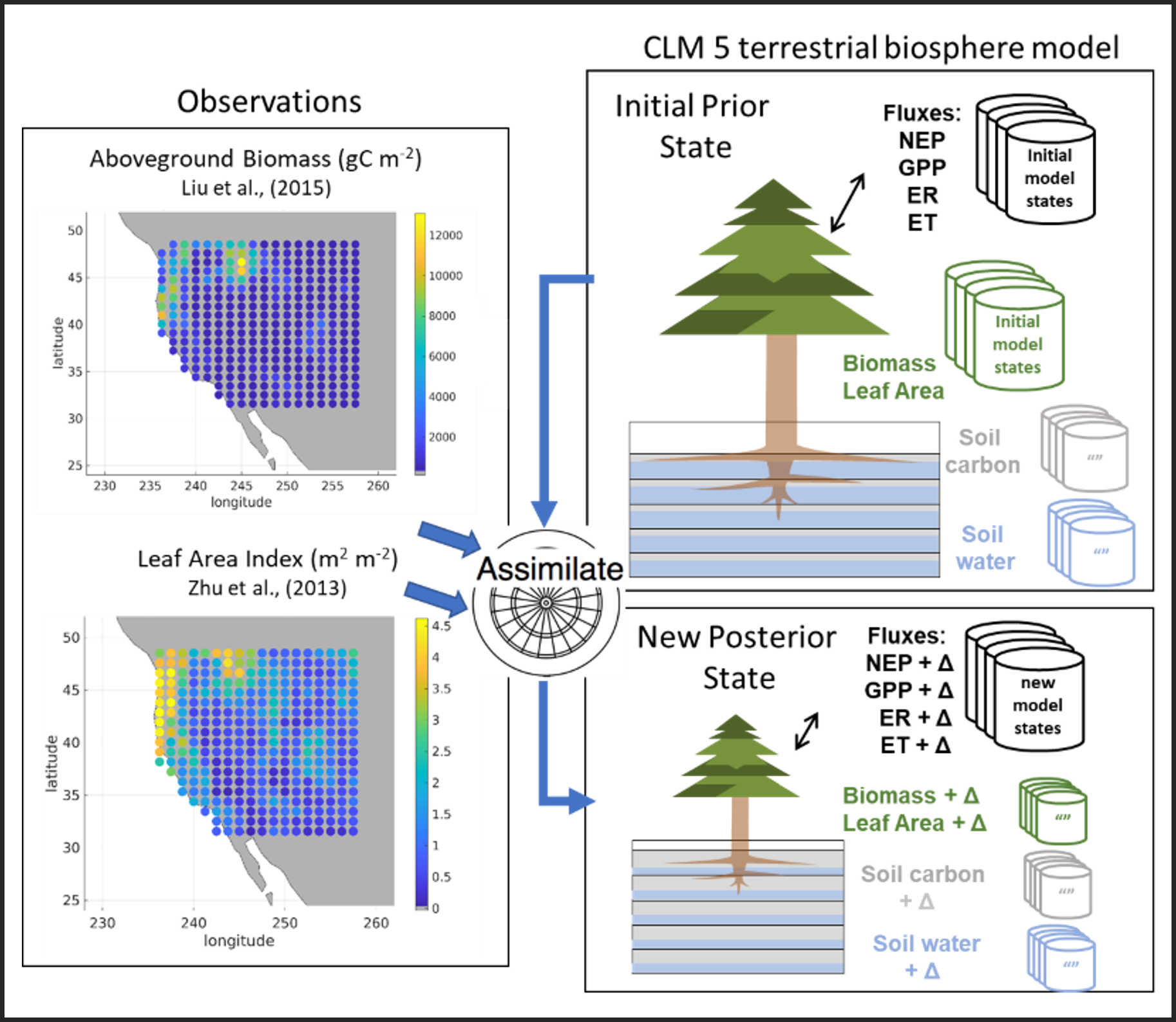 Overview of the assimilation system CLM5-DART.