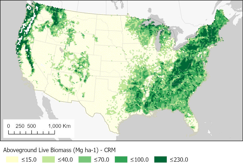 Estimates of aboveground biomass of live trees (diameter >2.54 cm) on forested lands in the conterminous U.S. Estimates were developed from the FIA component ratio method.