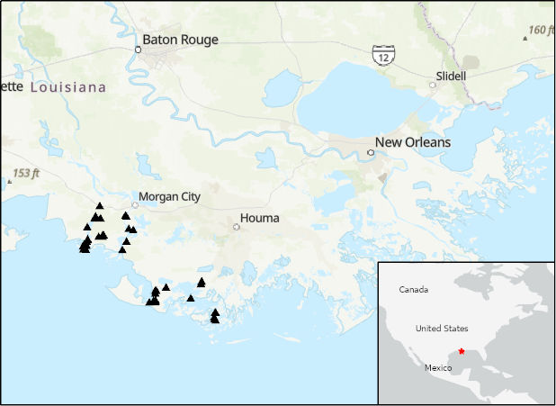 Locations of river discharge measurements (black triangles) within the Mississippi River Delta (MRD) floodplain.