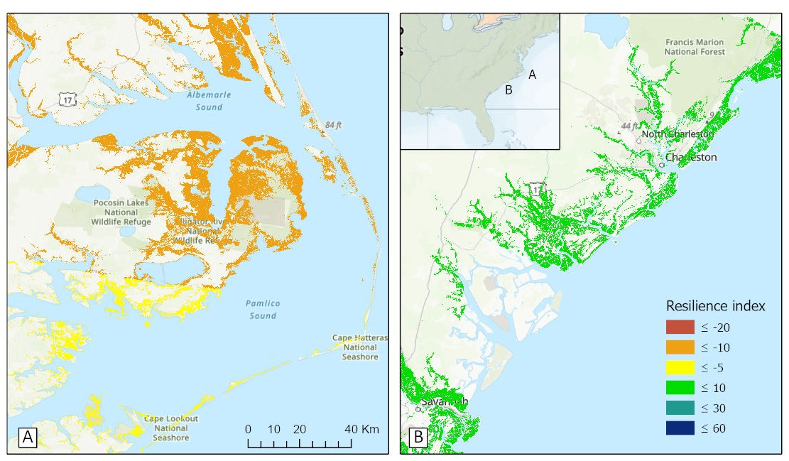 Contrasting levels of resilience of tidal marshes to sea-level rise in eastern North Carolina (A) and coastal South Carolina (B).