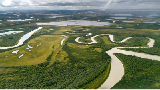 Aerial view of the Yukon Delta landscape near the village of Emmonak, August 2017