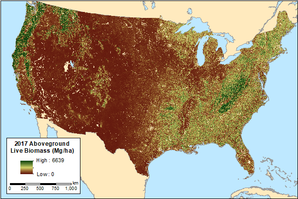 Aboveground live biomass across CONUS for the year 2017 derived from the MaxEnt model.