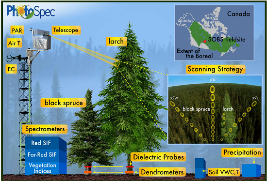 Diagram of the field set-up.