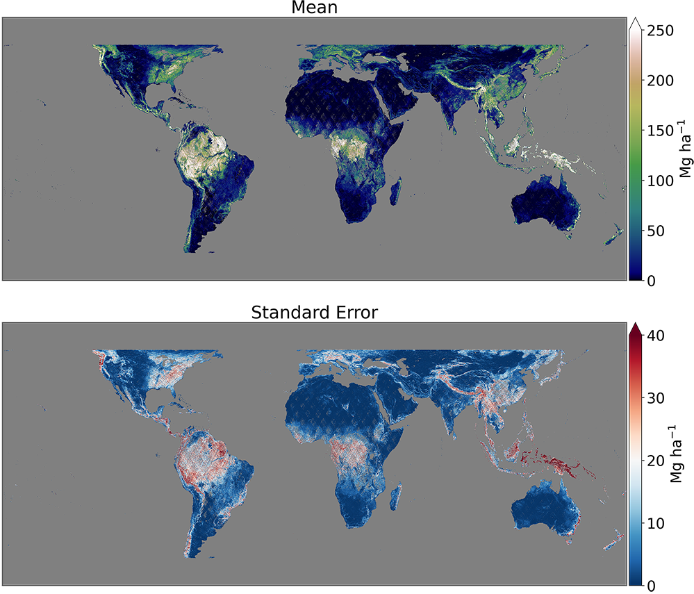 GEDI L4B Gridded Biomass 