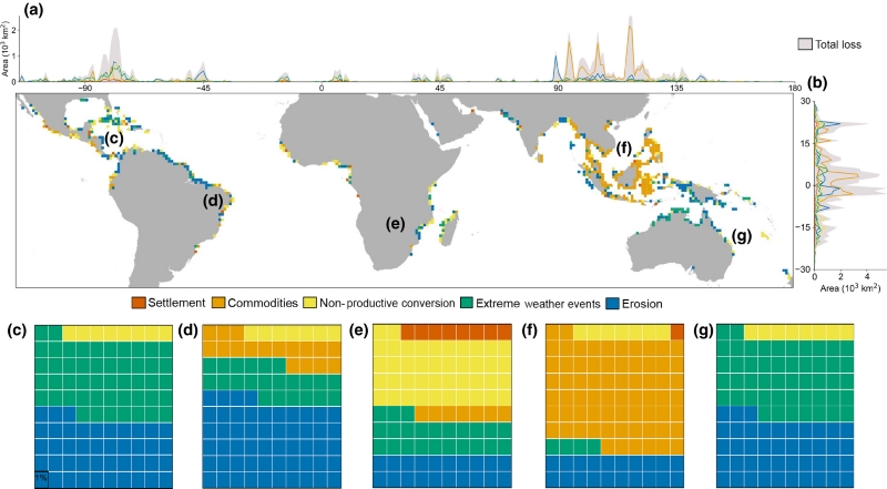 Global distribution of mangrove loss and its drivers.