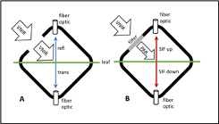 Schematic of FluoWat leaf clip operation for measuring leaf reflectance, transmittance, and upward and downward fluorescence (SIF).