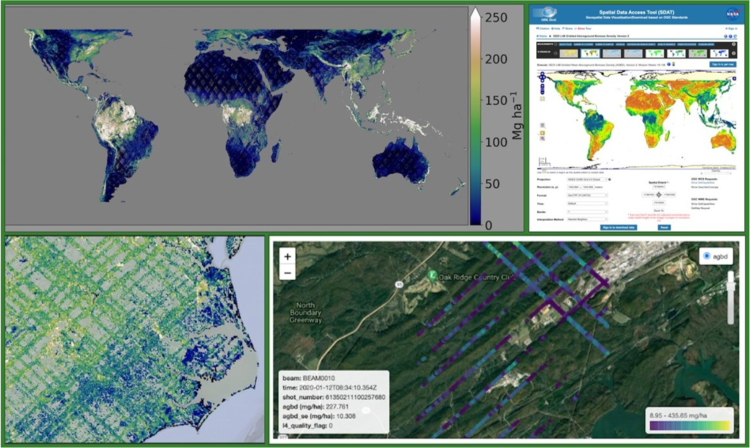 A set of example visualizations for GEDI mission data products.