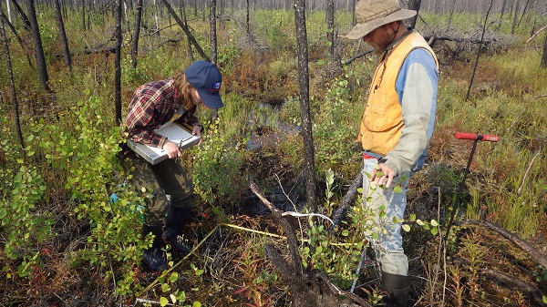 Researchers collecting data on vegetation and biophysical characteristics at a study site in Northwest Territories of Canada that was burned by wildfires in 2014-2015.