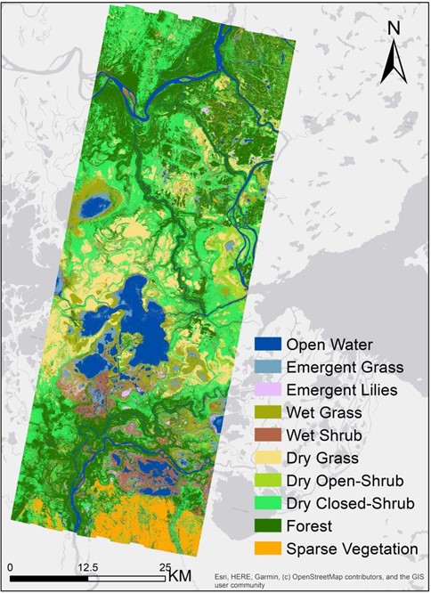 ABoVE: Wetland Vegetation Classification, Canada, 2019