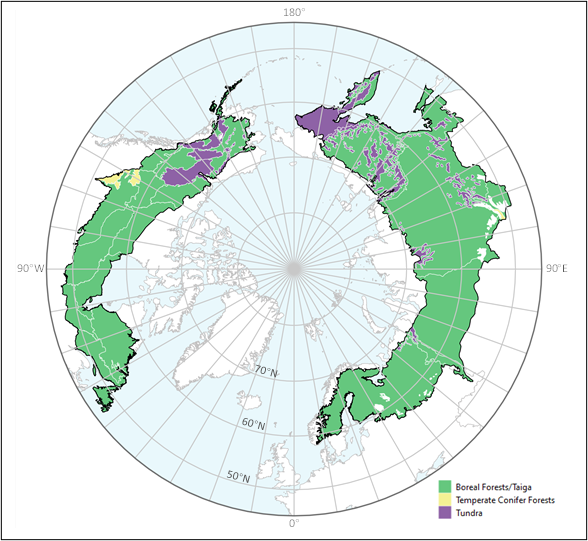 Tree canopy cover over global boreal forests in 2020.