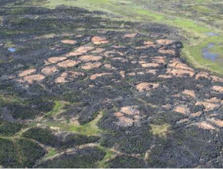 The 2007 Anaktuvuk River fire burned across riparian stringers and wet channels around high-centered polygons that are typically left as unburned inclusions.