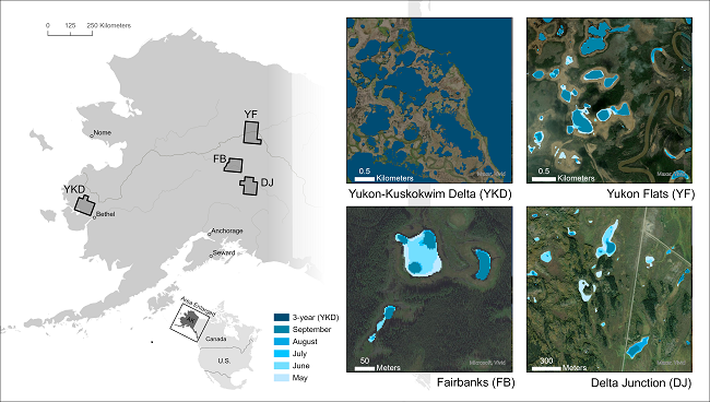 Four subregions of Alaska (left) with example of lakes and ponds derived from PlanetScope imagery (right).