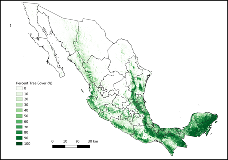 Multi-year mean (2016-2018) of percent tree cover maps for Mexico.