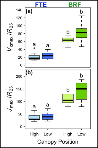 Ratios of (a) maximum rate of carboxylation to respiration and (b) maximum electron transport rate to respiration both (a) and (b) at 25 degrees C. Boxplots show the median and first and third quartiles. Whiskers display the range of groups with individual points representing outliers falling outside 1.5 times the interquartile range. Different letters represent significant differences between locations and canopy positions.