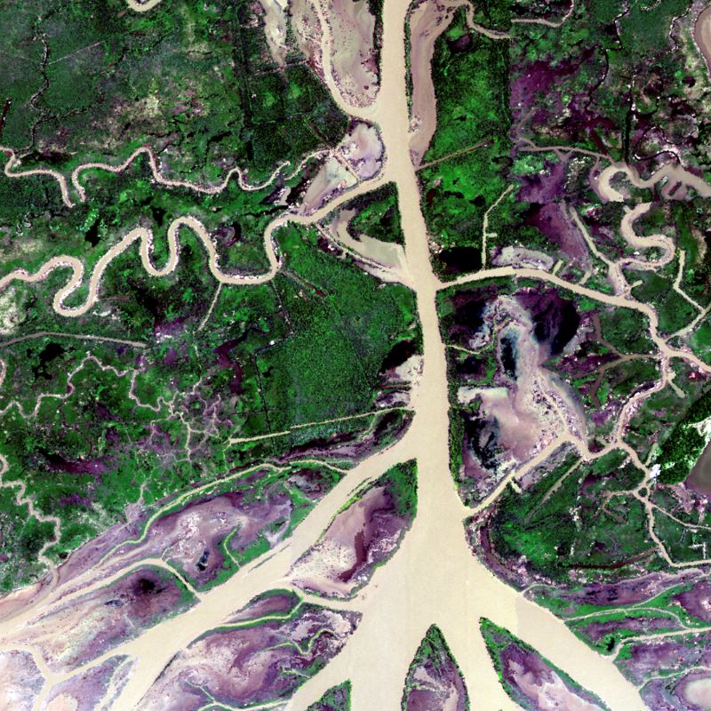 A BRDF and sunglint-corrected image of the Atchafalaya basin.