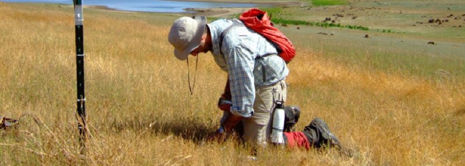 Installation and maintenance of in situ soil moisture sensors