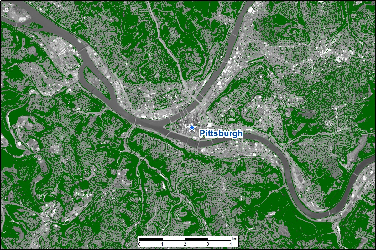 Estimated tree canopy cover (in green) near Pittsburgh, Pennsylvania, for the year 2008.