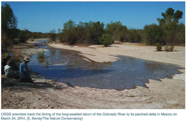 Scientists track return of Colorado River