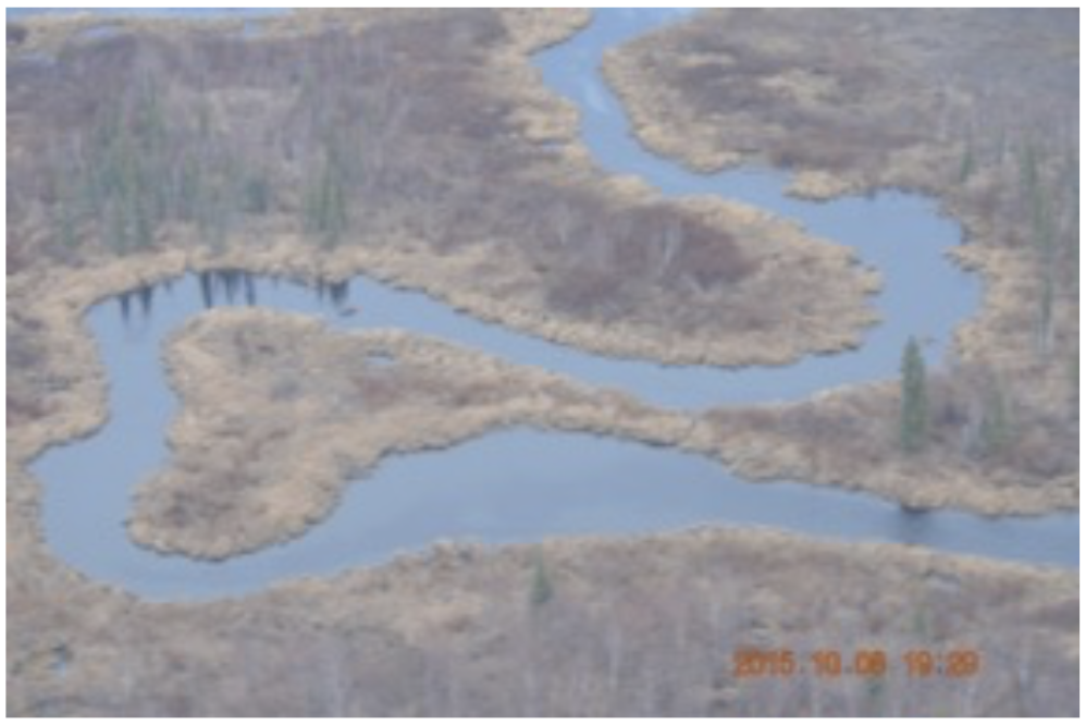 wetlands in Alaska