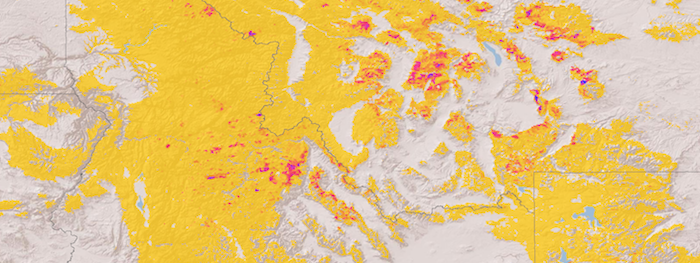  beetle-killed trees in the western United States