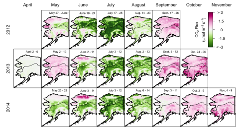 Optimized biogenic net CO2 flux for Alaska 2012-2014. The date of each measurement period is shown at the top of each map. From Commane et al. (2017)