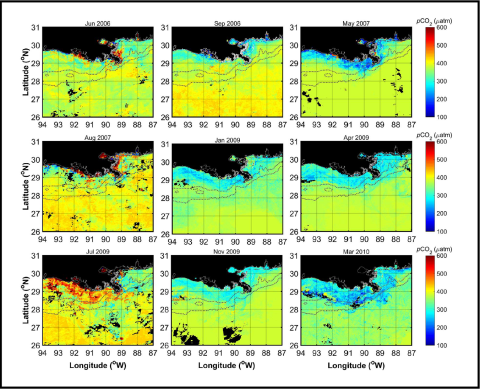Figure of monthly satellite-derived pCO2. pCO2 for the northern Gulf of Mexico.