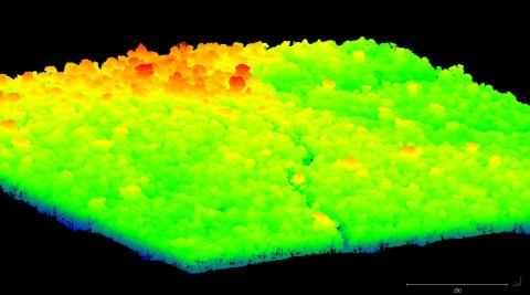LiDAR point cloud of Fazenda Cauaxi, 2012. Points are colored by elevation above sea level. Orange and red trees extend above the surrounding canopy.