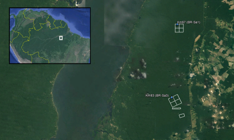 Footprints from each of the surveyed areas