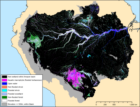 Wetlands of the lowland Amazon basin, mapped during May – June 1996 (high water).