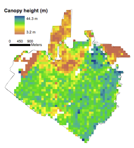 Lidar-derived mean vegetation canopy height in 1998 at 100-m (1-ha) resolution at La Selva Biological Station in Costa Rica.