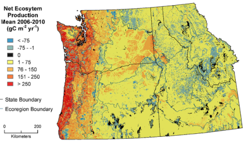 Mean net ecosystem production in the U.S. Pacific Northwest