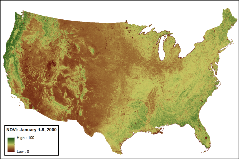 Smoothed and gap-filled NDVI for the conterminous US for the period January 1-8, 2000. NDVI is expressed as percent in this figure.