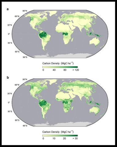 Map of biomass carbon density.