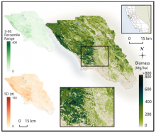 Aboveground biomass graphical map for Sonoma County.