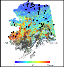 Map of active layer thickness in Alaska.