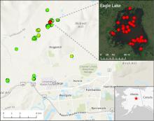 Location of 15 lakes surveyed for methane ebullition hotspots (green points) north of Fairbanks, AK, on October 8, 2014.