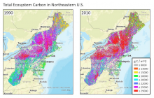 Estimated total ecosystem carbon for the northeast region of the U.S. for the years 1990 (left) and 2010 (right). The estimates were produced from an inventory-constrained version of the Carnegie-Ames-Stanford Approach (CASA) carbon cycle process model.