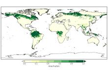 Area fraction of each grid cell of primary lands covered by forests in the year 2000.