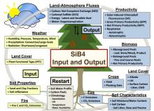 Overview of the Simple Biosphere Model