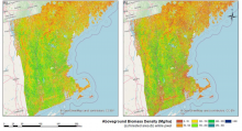 30 m resolution maps of aboveground biomass density (AGBD) over the New England region in 2015
